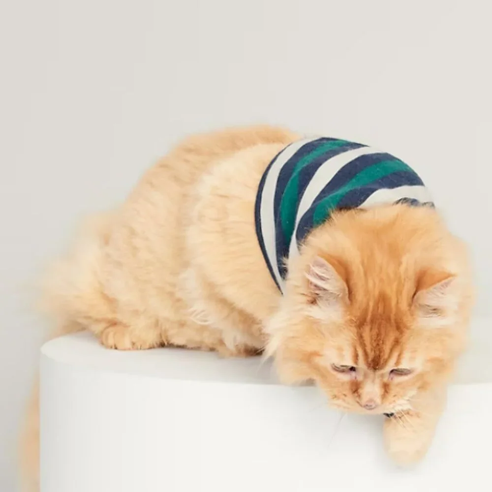 Old Navy Holiday Red/Green Stripe Patterned Flannel Bandana Pets (Cat/Dog) NWT